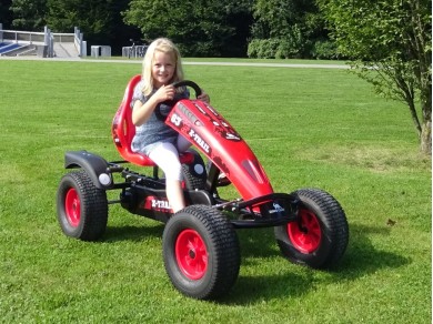 Buy Adults & Children's Dino Cars Pedal Go-Karts Online