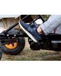 BERG Duo Coaster E-BFR Go-Kart